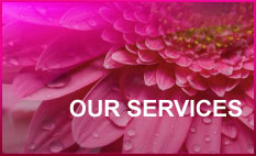 Our Services